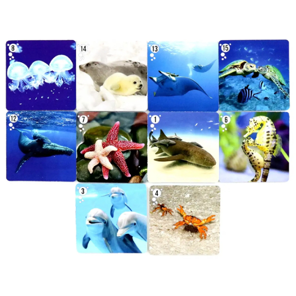 Joc educativ Fun Games Mi-Mi-Memo Dezvoltare, 3+ photo 2