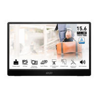 Монитор MSI PRO MP161 E2U Черный 15.6" Full HD IPS WLED