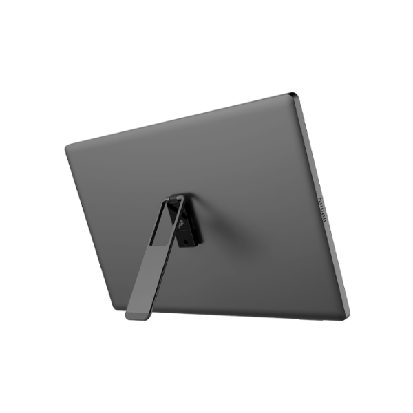 Монитор MSI PRO MP161 E2U Черный 15.6" Full HD IPS WLED photo 5