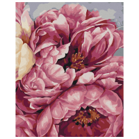 Pictură pe numere BrushMe Înflorirea bujorilor BS40543 50 x 40 cm, Pânză