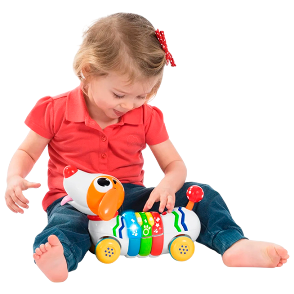 Интерактивная игрушка Chicco DogReMi 01228216 Разноцветный Для детей, 1.5+ photo 5