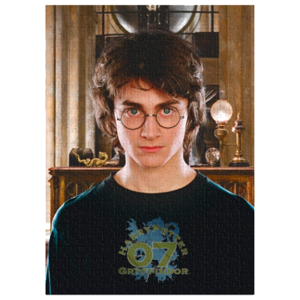 Пазл 2D DoDo Harry Potter (200576) Количество деталей: 450, Рекомендуемый возраст: 8+ photo 2
