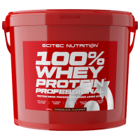 Протеин Scitec Nutrition 100% Whey Protein Professional 5000 г Шоколад, пирожные с взбитыми сливками | порошок