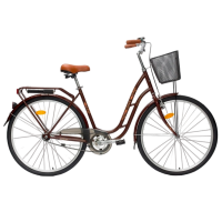 Bicicletă Aist Tango 28" 19" Brown Yellow Oțel / Pentru adulți