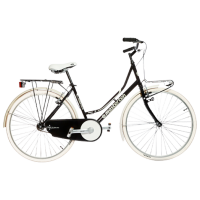 Bicicletă Andrei Tchmil Lyra Nexus 27.5" 27.5" Black White Oțel / Pentru adulți