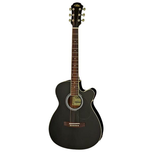 Chitară electro-acustică Aria AFN-15CE BK Black Dreadnought, 4/4 photo 1