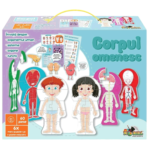 Puzzle Noriel Corpul omenesc (NOR5434) Numărul de piese: 60, Vârsta recomandată: 3+ photo 1