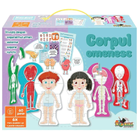 Puzzle Noriel Corpul omenesc (NOR5434) Numărul de piese: 60, Vârsta recomandată: 3+