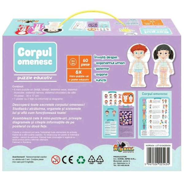 Puzzle Noriel Corpul omenesc (NOR5434) Numărul de piese: 60, Vârsta recomandată: 3+ photo 2