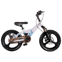 Bicicletă TyBike BK-09 20" 20" Gray White Aliaj de magneziu / Pentru copii