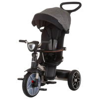 Трицикл Chipolino TRKDR02402GR Графит  Металл / Детский