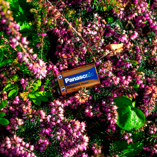 Батарейка Panasonic Alkaline Power 6LR61 (1 шт.)  photo 4