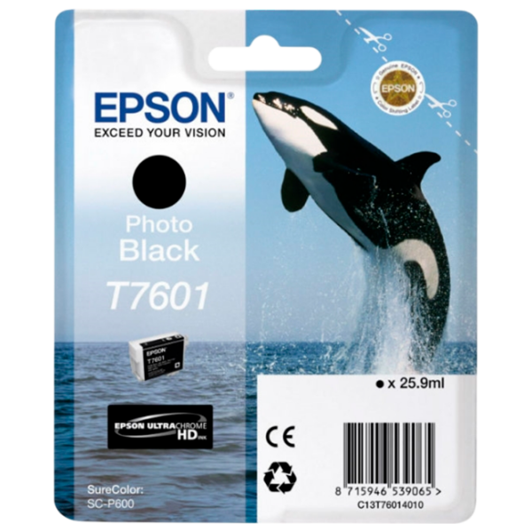 Cartuş Epson T760 Original  photo 1