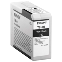Cartuş Epson T850100 Original 