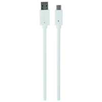 Кабель данных Cablexpert CCP-USB3-AMCM-W-10 USB Type-C / USB Type-A Белый 