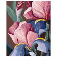 Pictură pe numere BrushMe Biluhina BS53760 50 x 40 cm, Pânză