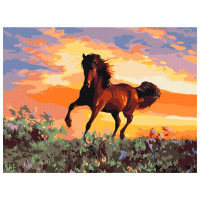 Pictură pe numere BrushMe Cal RBS6943FC 40 x 30 cm, Pânză