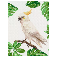 Pictură pe numere BrushMe Cacatua alb RBS1004FC 40 x 30 cm, Pânză