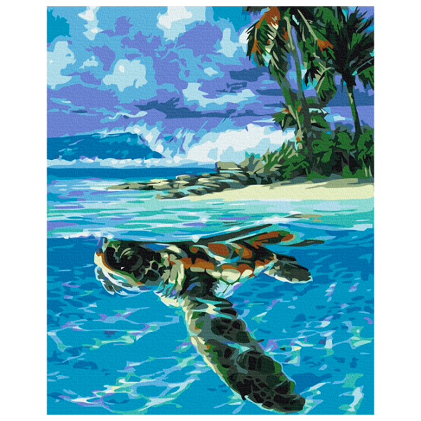 Pictură pe numere BrushMe Țestoasa tropicală BS51422FC 50 x 40 cm, Pânză photo 1