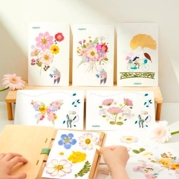 Креативный набор Mideer Discovery Collection Nature Art MD1430 Зеленый Для детей, 3+ photo 5