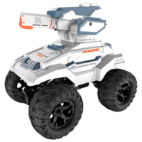 Машинка RC 3686E Черный
Разноцветный 