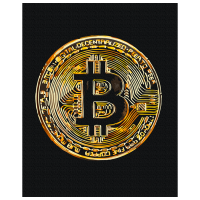 Pictură pe numere BrushMe Bitcoin BS53975FC 50 x 40 cm, Pânză