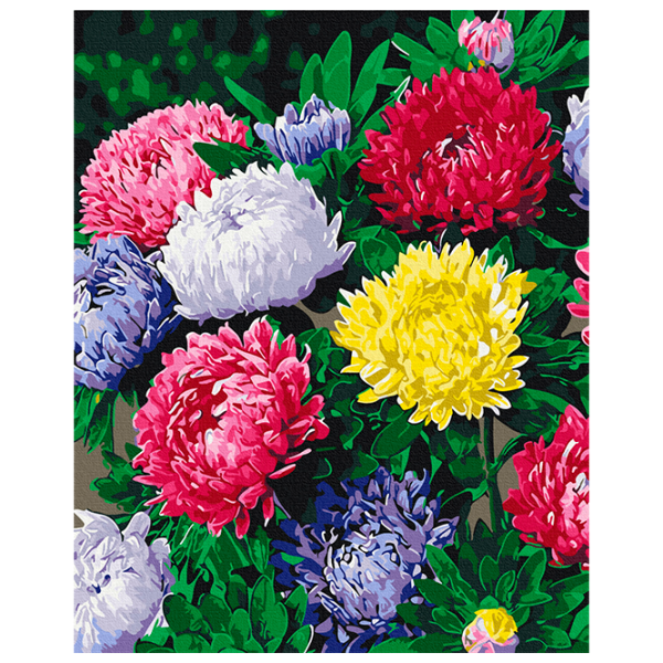 Pictură pe numere BrushMe Astre colorate BS54120FC 50 x 40 cm, Pânză photo 1