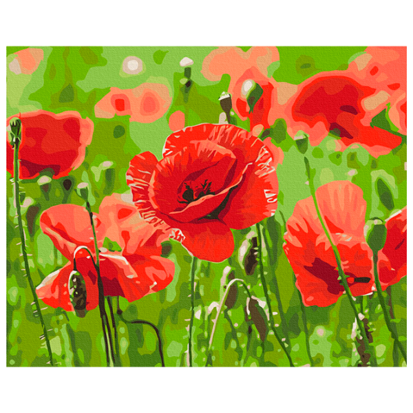 Pictură pe numere BrushMe Maci roșii BS53703FC 50 x 40 cm, Pânză photo 1