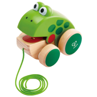 Jucărie interactivă Hape E0361 Green 1+