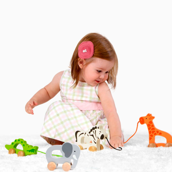 Игрушка каталка Hape E0908 Серый 1+ photo 5