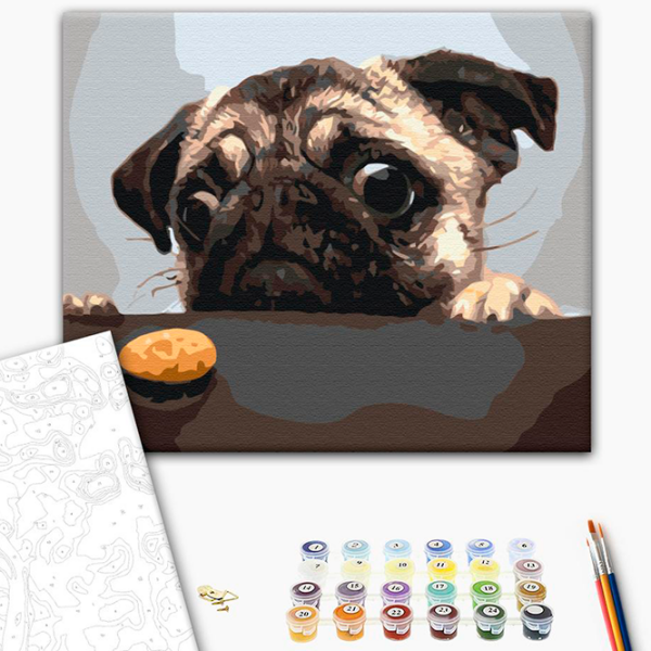 Pictură pe numere BrushMe Mopsul BS8765FC 50 x 40 cm, Pânză photo 2