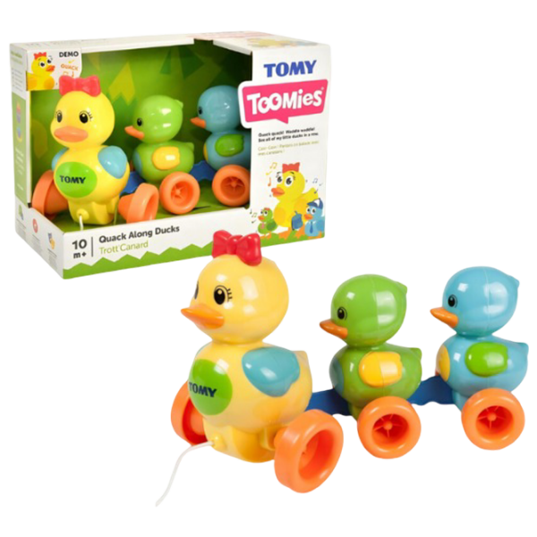 Jucărie de împins și tras Tomy T4613 Multicolor 0+ photo 2