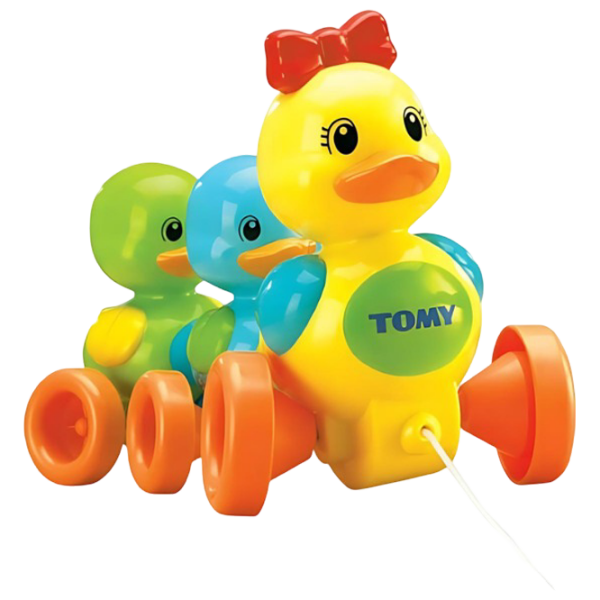 Jucărie de împins și tras Tomy T4613 Multicolor 0+ photo 4