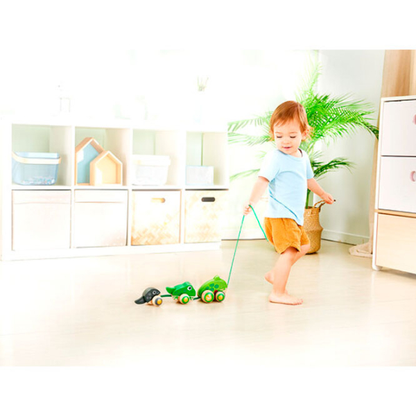 Игрушка каталка Hape Frog Family Зеленый 1+ photo 4
