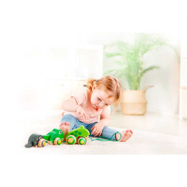 Игрушка каталка Hape Frog Family Зеленый 1+ photo 6