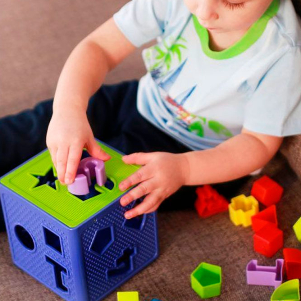 Интерактивная игрушка Essa Toys Cub-Sorter 57116 Синий 1+ photo 9