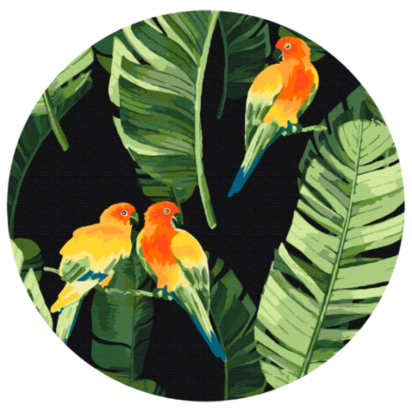 Pictură pe numere BrushMe Papagali tropicali RC00018FC 30 x 30 cm, Pânză photo 1
