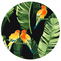 Pictură pe numere BrushMe Papagali tropicali RC00018FC 30 x 30 cm, Pânză
