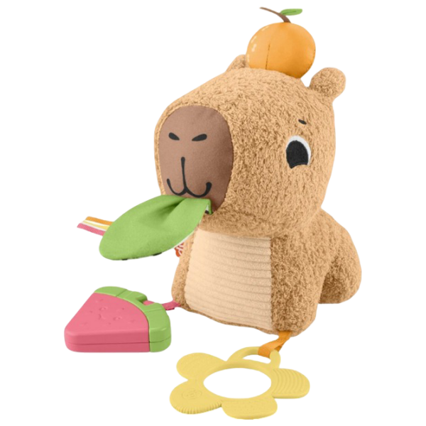 Jucărie moale Fisher Price Capybara HYR54 Brown 0.3+ photo 1