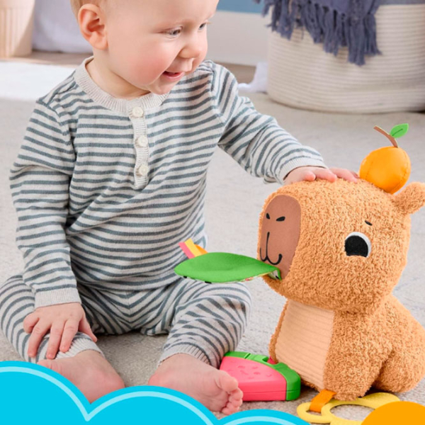 Jucărie moale Fisher Price Capybara HYR54 Brown 0.3+ photo 4