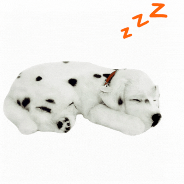 Интерактивная игрушка Perfect Petzzz Now we're huggable! Dalmatian Puppy 91-17 Белый Универсальный, 3+ photo 2