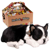 Интерактивная игрушка Perfect Petzzz Now we're huggable! Boston Terrier 91-35 Черный Универсальный, 3+