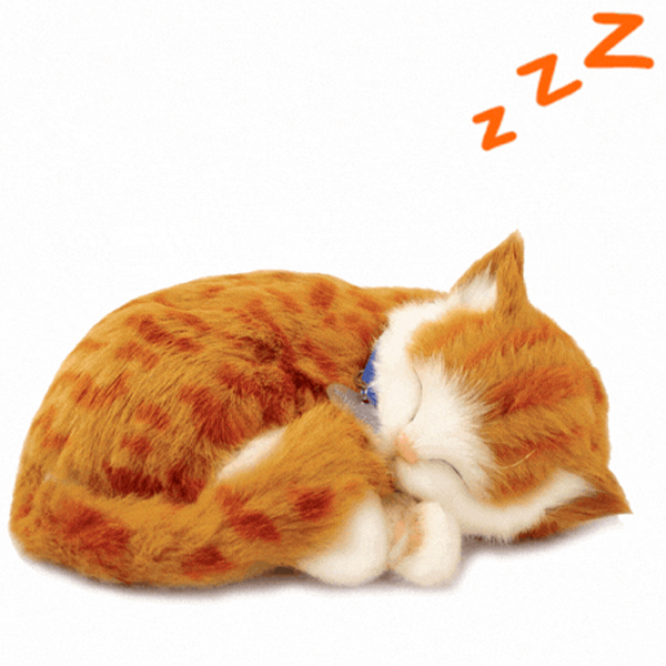 Интерактивная игрушка Perfect Petzzz Now we're huggable! Tabby Cat 92-05 Оранжевый Универсальный, 3+ photo 3