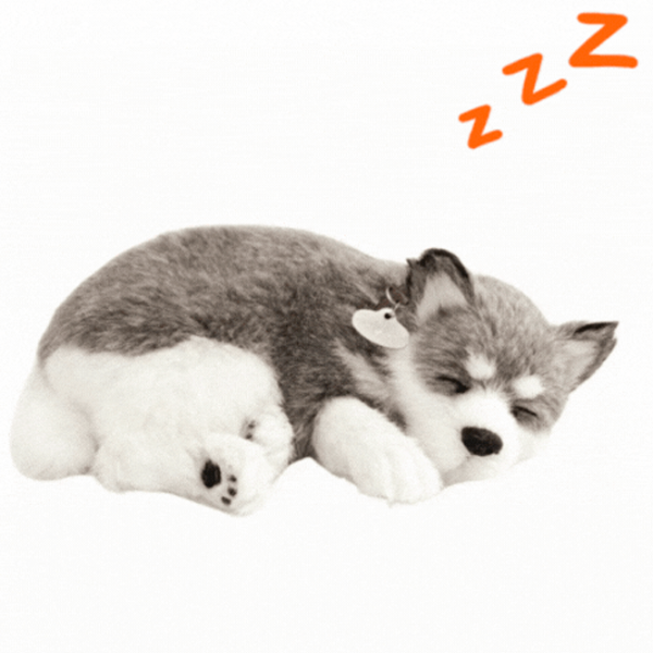 Интерактивная игрушка Perfect Petzzz Now we're huggable! Shiba Puppy 91-03 Серый Универсальный, 3+ photo 2