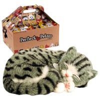 Интерактивная игрушка Perfect Petzzz Now we're huggable! Tabby Kitten 92-14 Серый Универсальный, 3+