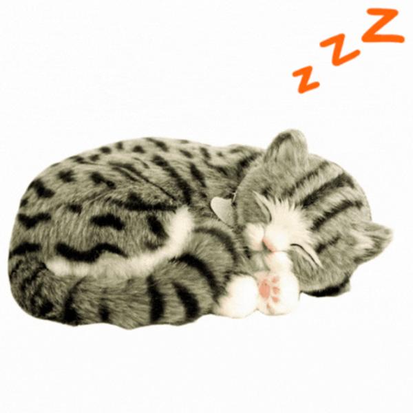 Интерактивная игрушка Perfect Petzzz Now we're huggable! Tabby Kitten 92-14 Серый Универсальный, 3+ photo 3