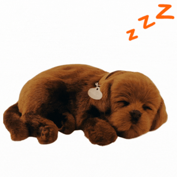 Интерактивная игрушка Perfect Petzzz Now we're huggable! Chocolate Labrador 91-13 Коричневый Универсальный, 3+ photo 3
