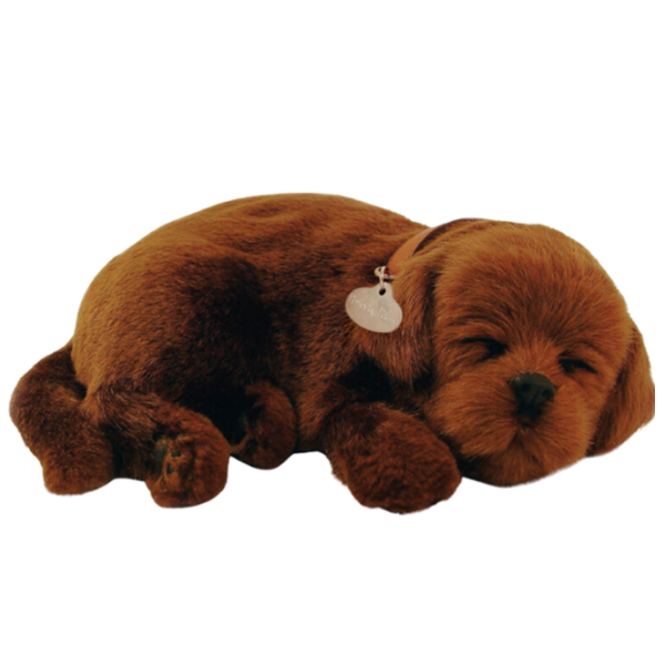 Интерактивная игрушка Perfect Petzzz Now we're huggable! Chocolate Labrador 91-13 Коричневый Универсальный, 3+ photo 4