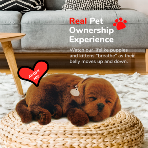 Интерактивная игрушка Perfect Petzzz Now we're huggable! Chocolate Labrador 91-13 Коричневый Универсальный, 3+ photo 5