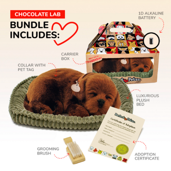 Интерактивная игрушка Perfect Petzzz Now we're huggable! Chocolate Labrador 91-13 Коричневый Универсальный, 3+ photo 6